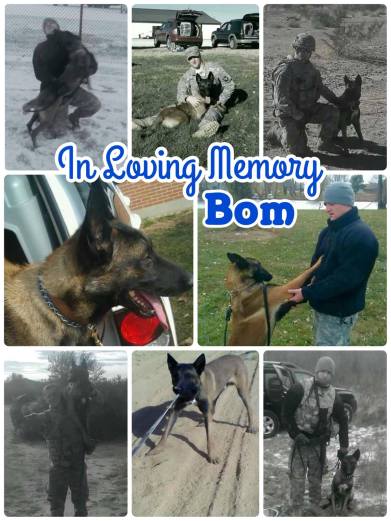 13288397_10154188736103486_1190111739_o