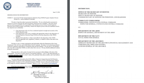 TEDD Assessment DoD IG redacted memo