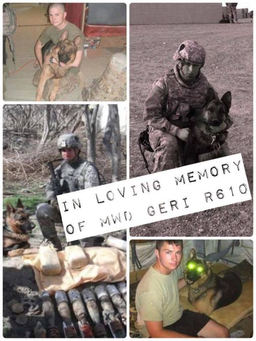 mwd-geri-rip